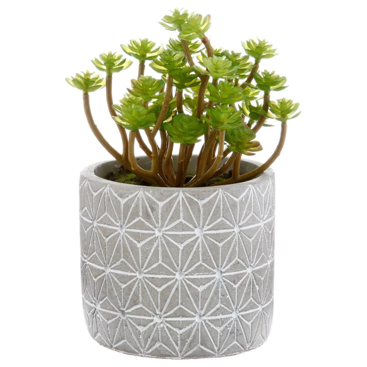 Изкуствено растение atmosphera Succulent, 17 cm, Различни видове