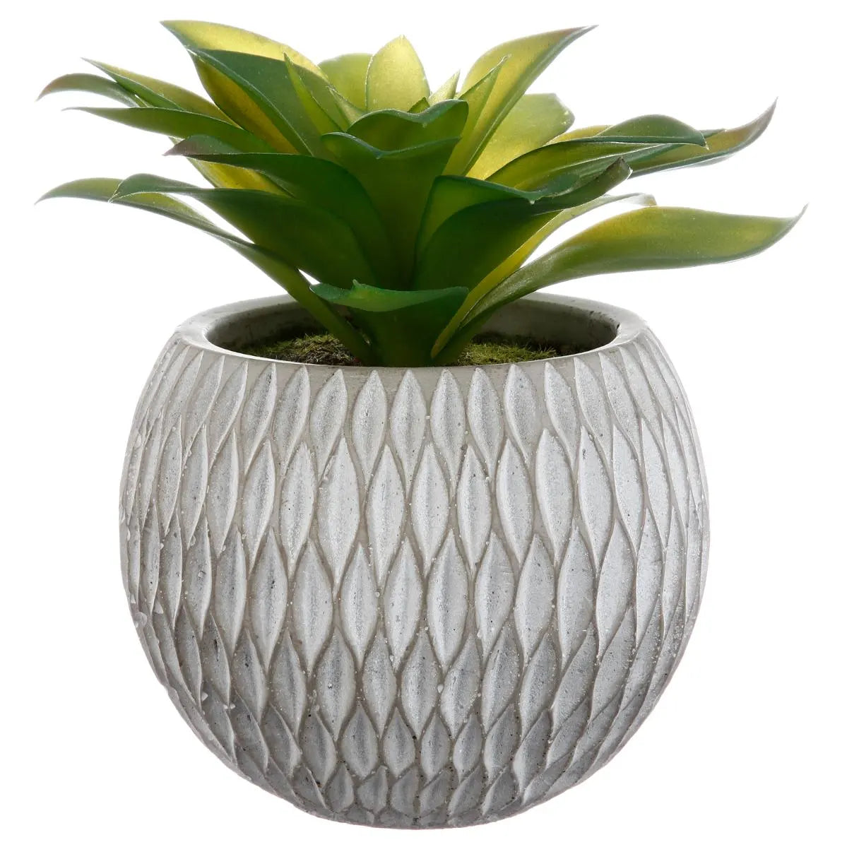 Изкуствено растение atmosphera Succulent, 17 cm, Различни видове