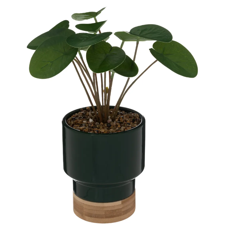 Изкуствено растение Аtmosphera