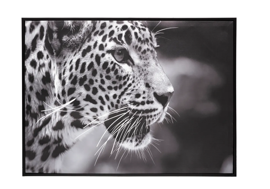 Картина atmosphera Leopard, 58x58 cm