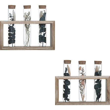 Декоративни цветя atmosphera House, 17 cm