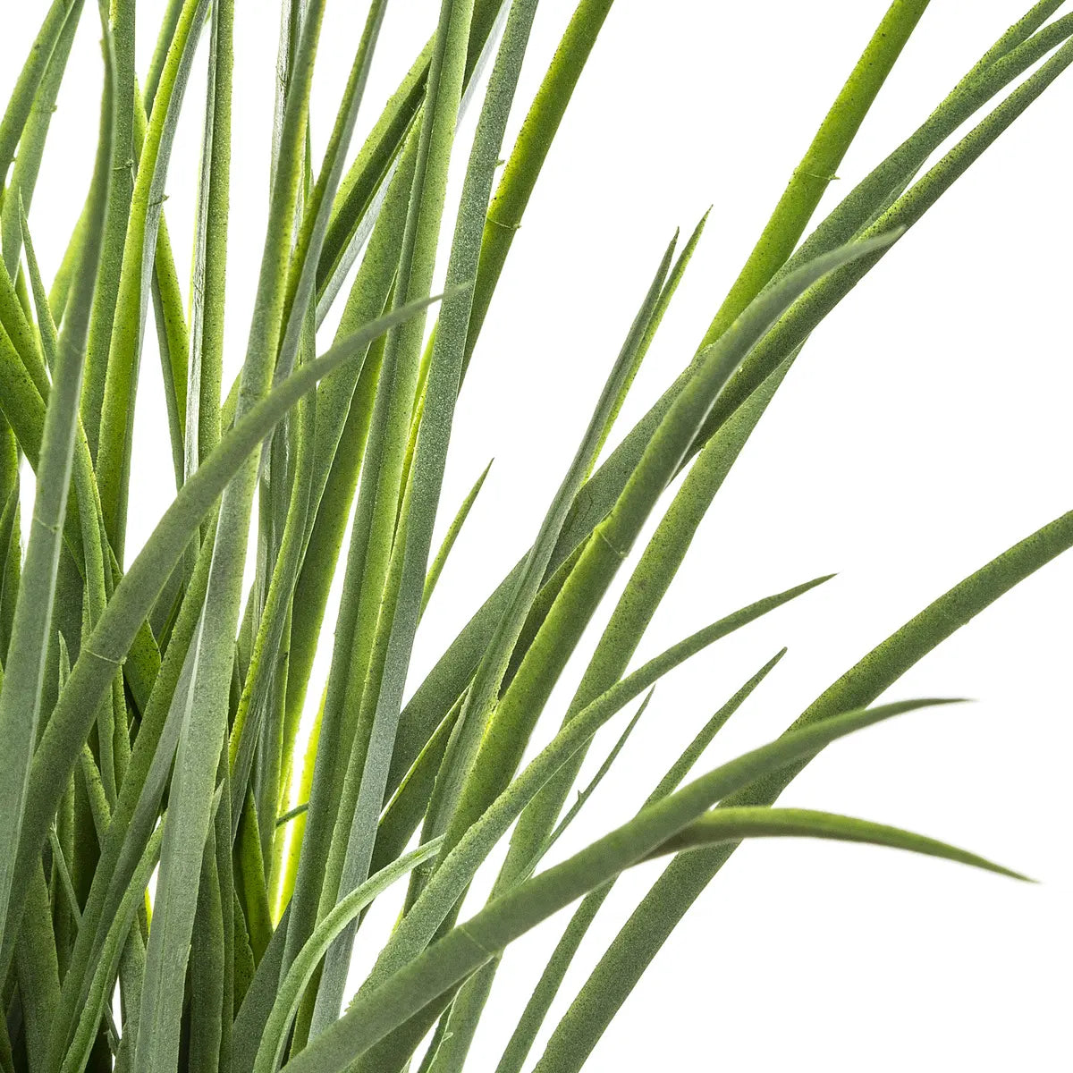 Изкуствено растение atmosphera Grass, 49см, Жасмин