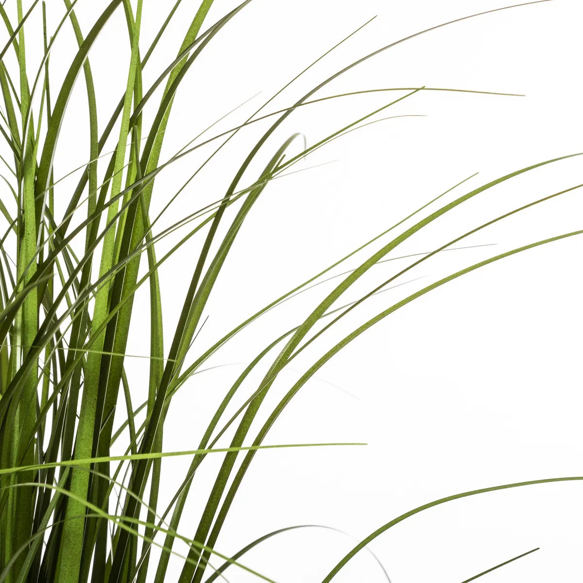 Изкуствено растение atmosphera Grasses, 58 cm