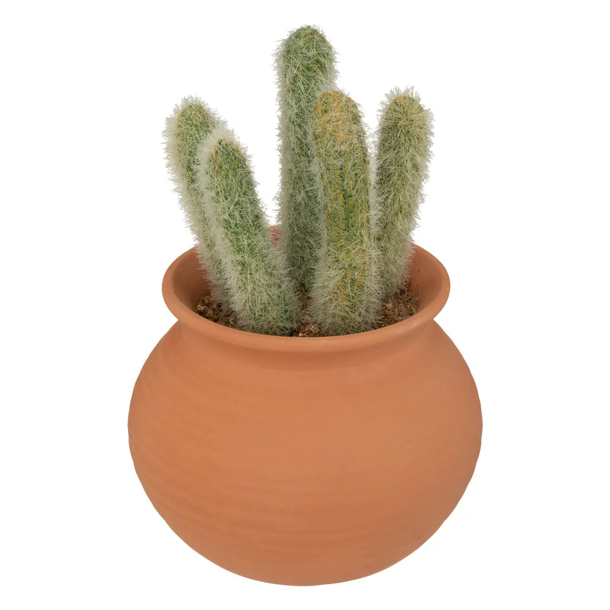 Изкуствено растение atmosphera Cactus Ali, 16.5 cm, Различни видове