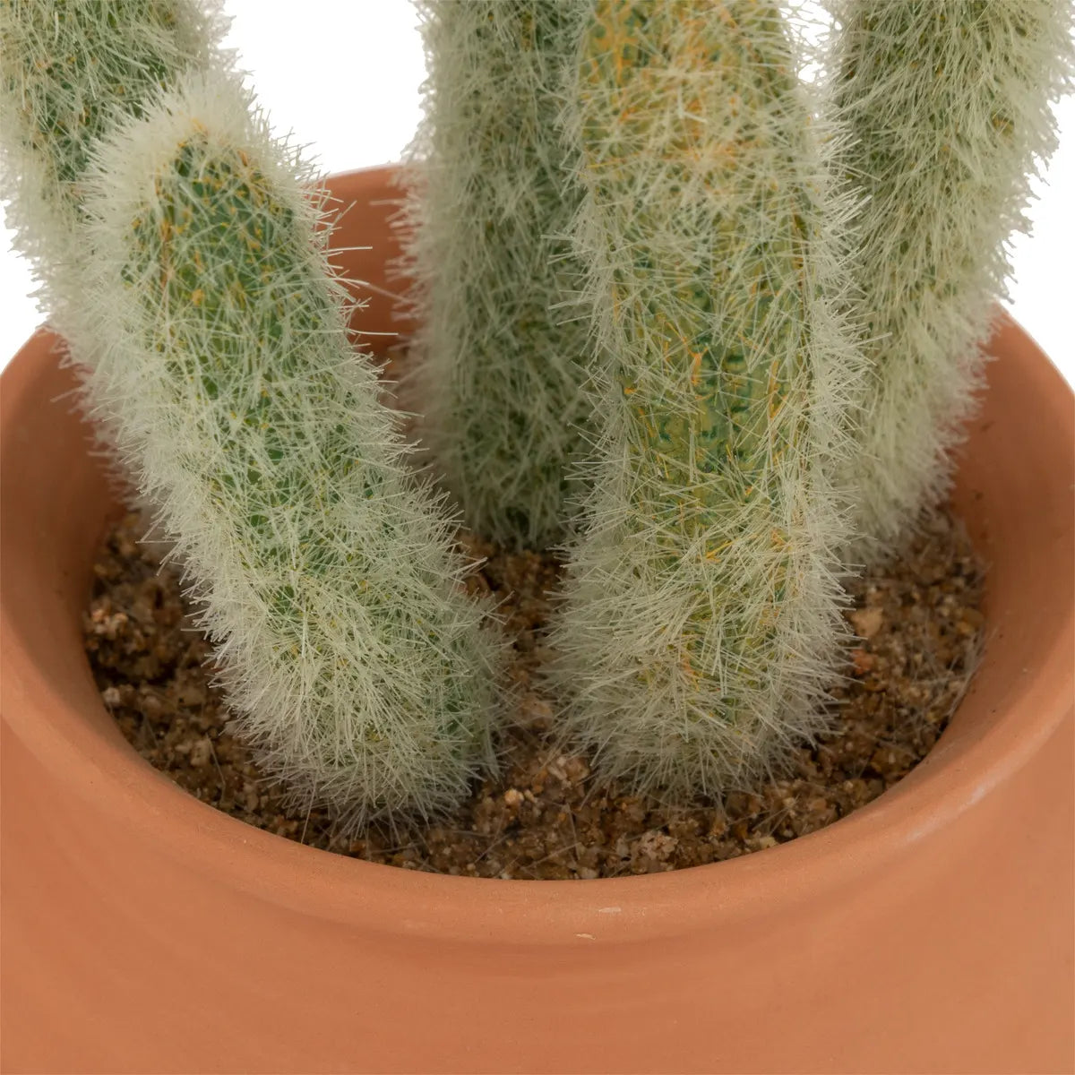 Изкуствено растение atmosphera Cactus Ali, 16.5 cm, Различни видове