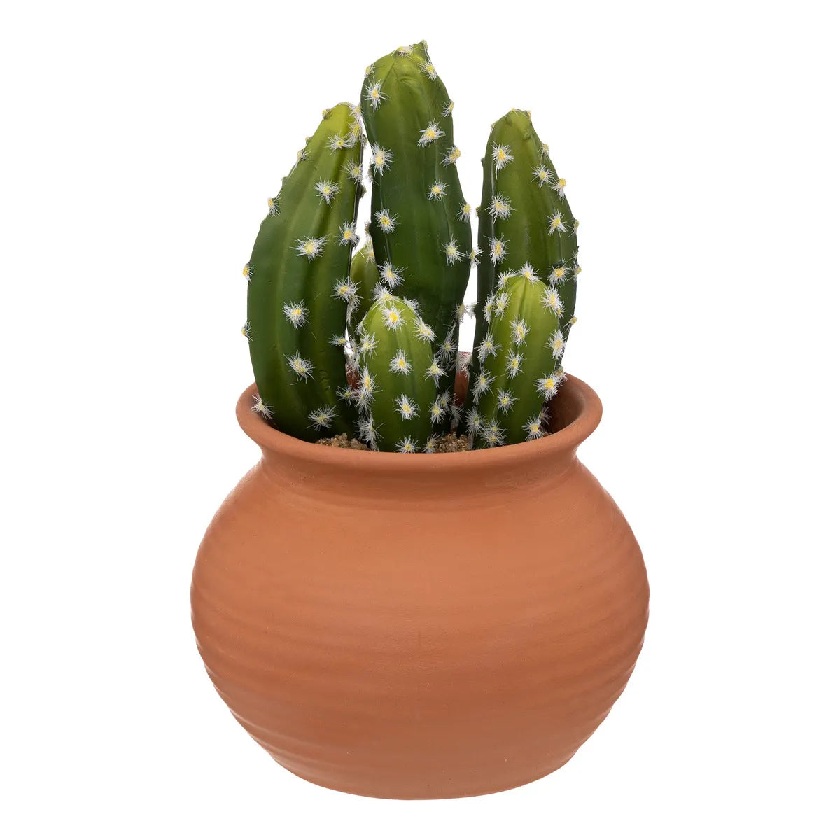 Изкуствено растение atmosphera Cactus Ali, 16.5 cm, Различни видове