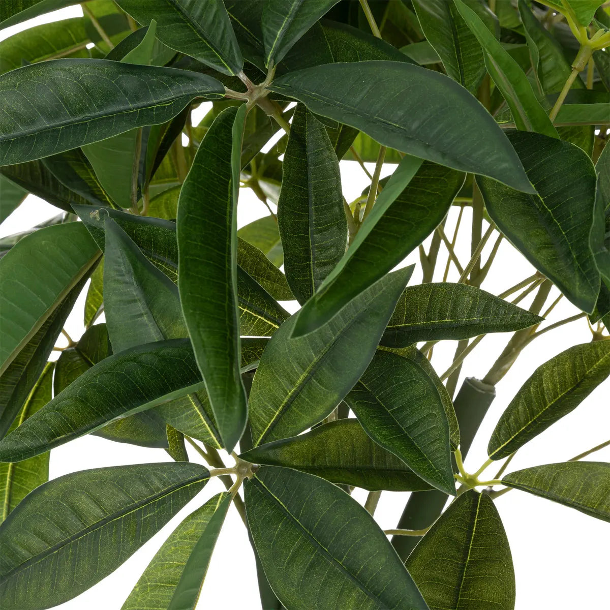 Изкуствено растение atmosphera Pachira Tree, 110 cm