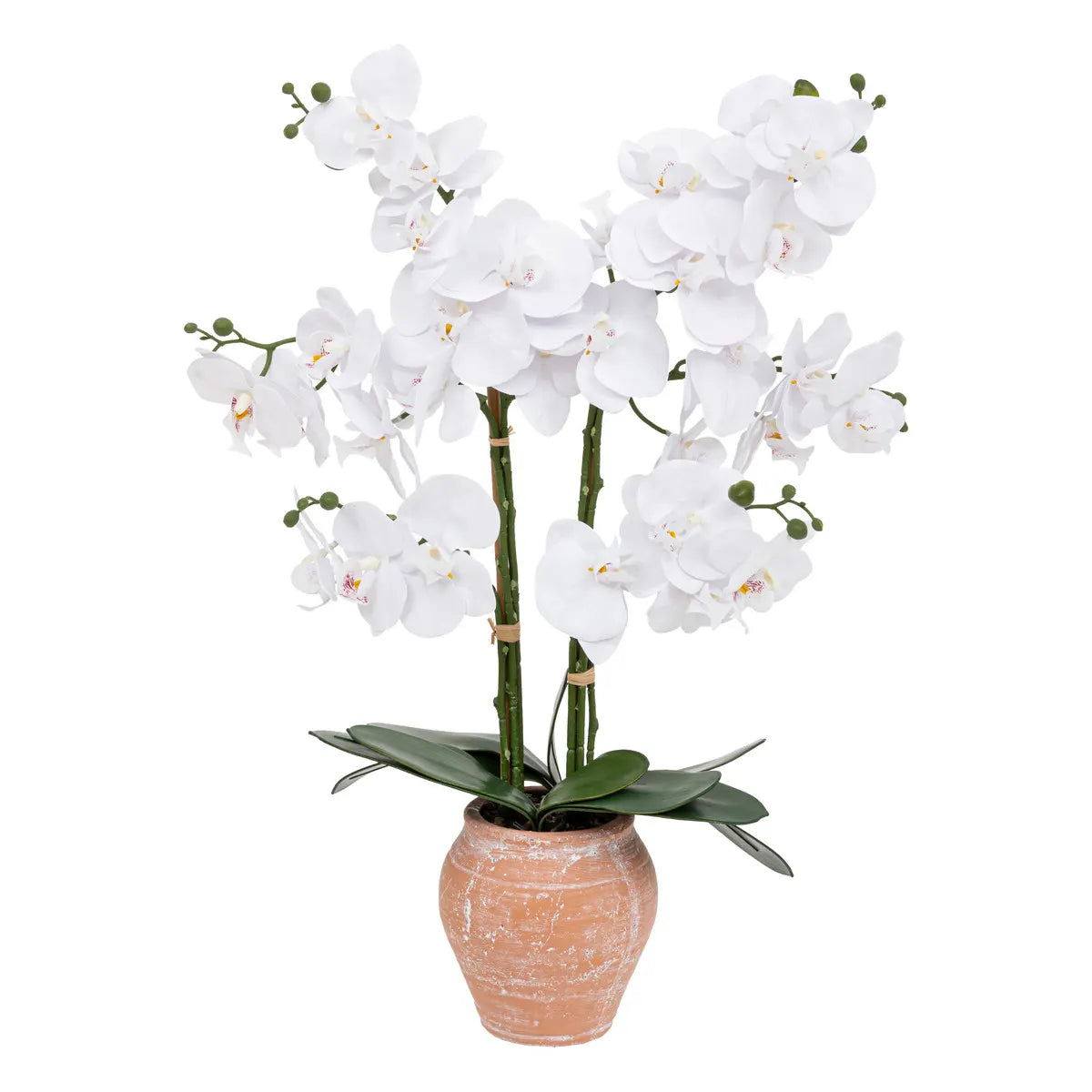 Изкуствено цвете atmosphera Dena Orchid, 65 cm