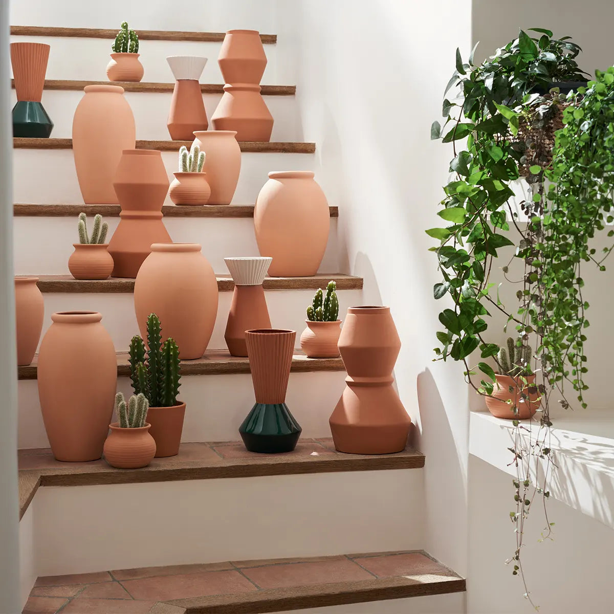 Изкуствено растение atmosphera Cactus Ali, 16.5 cm, Различни видове