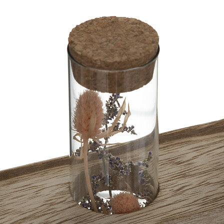 Декоративни цветя atmosphera House, 17 cm