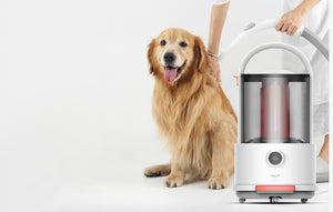 Мултифункционална прахосмукачка Xiaomi Deerma TJ200, 800W, 18kPa, 6 л контейнер, 3.5 л резервоар, Бял