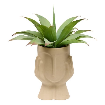 Изкуствено растение atmosphera Sien Agava, 48 cm,  Керамика