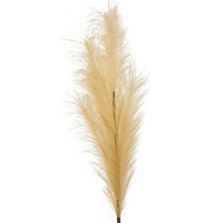 Клон пампас изкуствен atmosphera Adna, Бежов, 90 cm