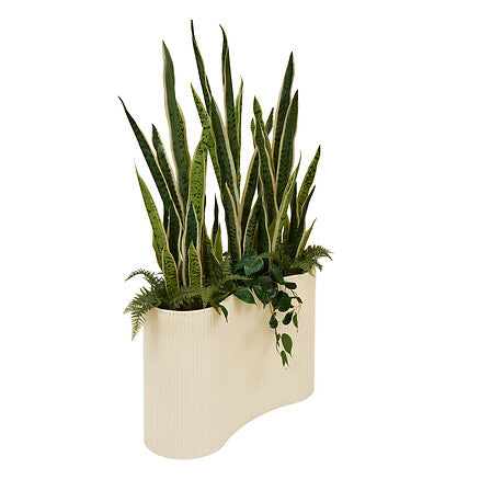 Изкуствено растение atmosphera Sansevieria Sky, 163 cm