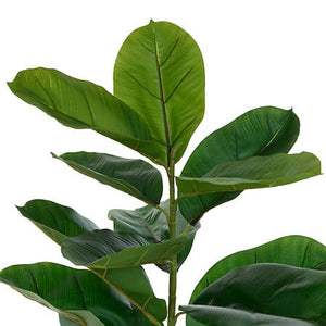 Изкуствено растение atmosphera Ficus Sky, 145 cm