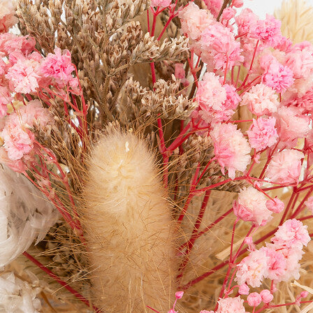 Декоративни цветя atmosphera Pria , 15 cm