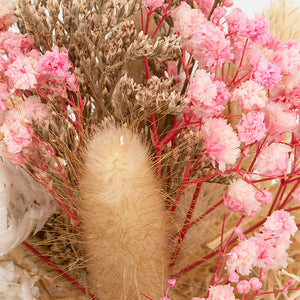 Декоративни цветя atmosphera Pria , 15 cm