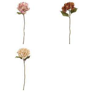 Декоративно стъбло хортензия atmosphera Fria, Асорти, 62 cm