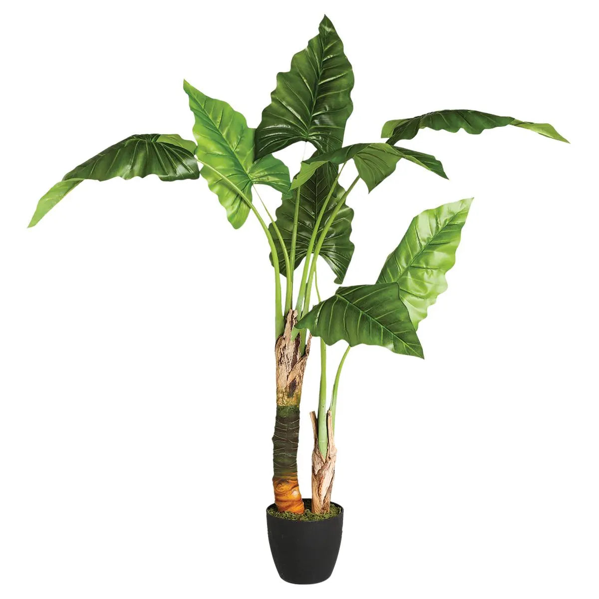 Изкуствено растение atmosphera Banana Tree, 120 cm