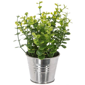 Изкуствено растение atmosphera, 17 cm, Различни видове