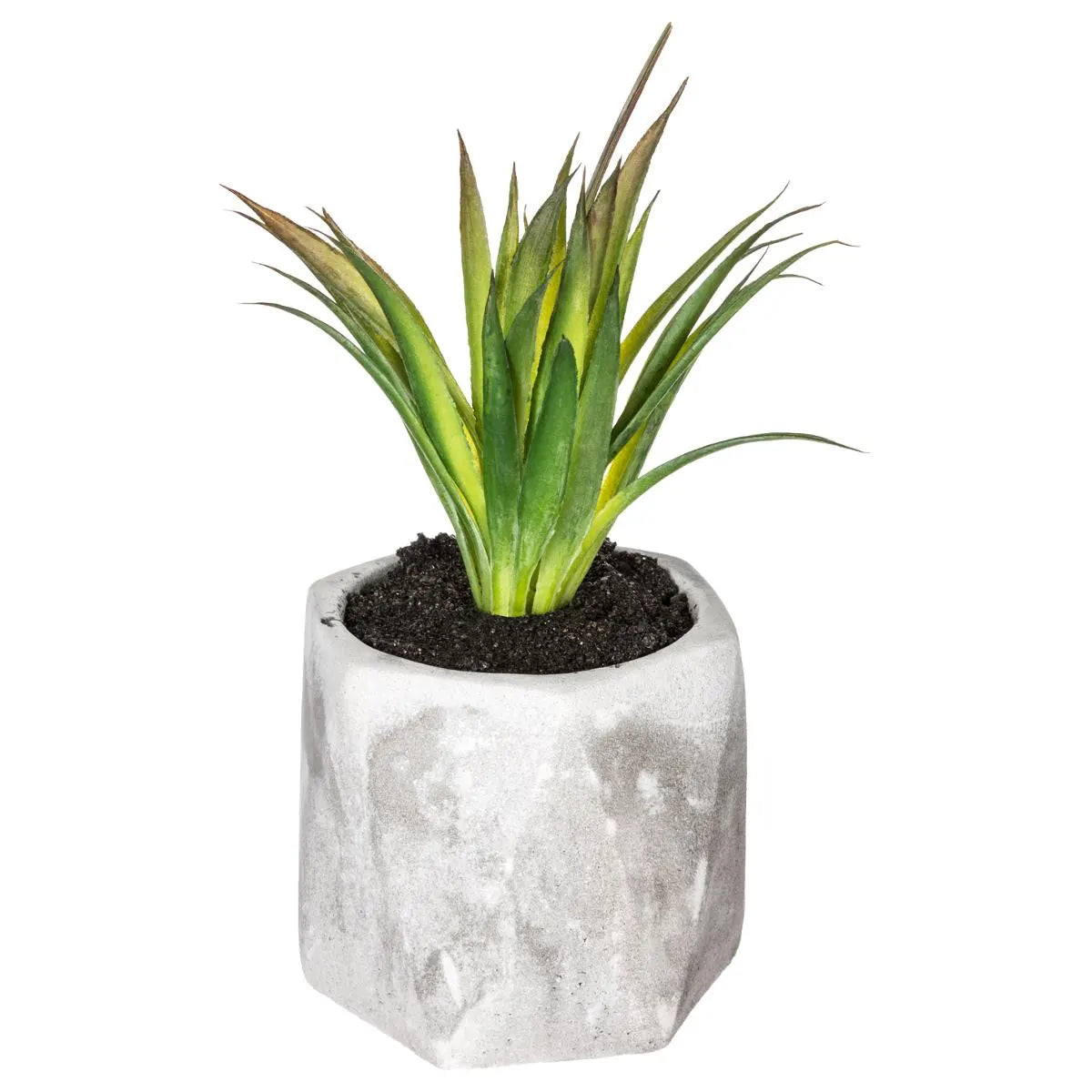 Изкуствено растение atmosphera Succulent, 14 cm, Различни видове