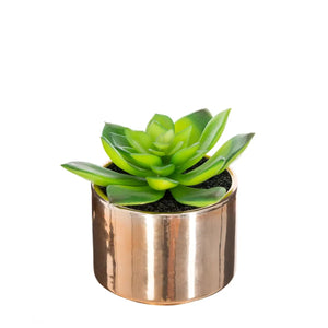 Изкуствено растение atmosphera, 15 cm, Различни видове