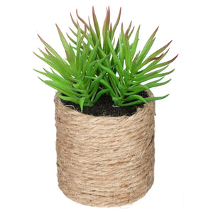 Изкуствено растение atmosphera, 16 cm, Различни видове