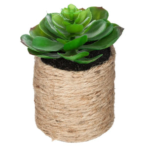Изкуствено растение atmosphera, 16 cm, Различни видове