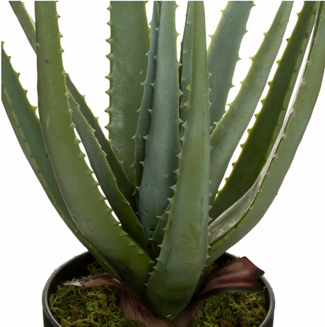 Изкуствено растение Atmosphera