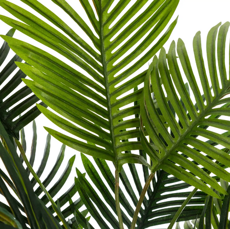 Изкуствено растение atmosphera Palm, Керамика, 72 cm