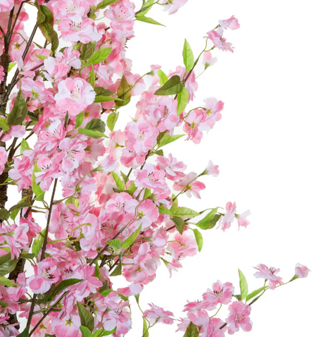 Изкуствено растение Аtmospherа