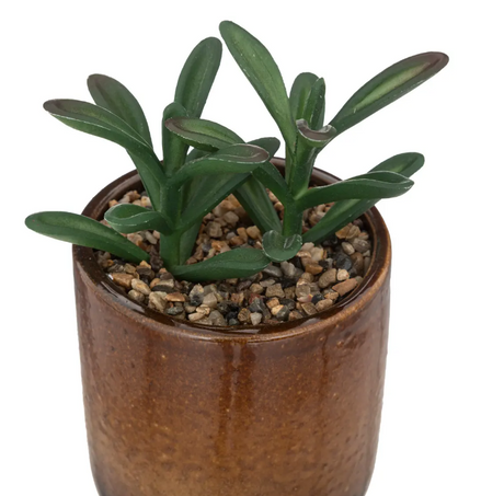 Изкуствено растение Аtmosphera