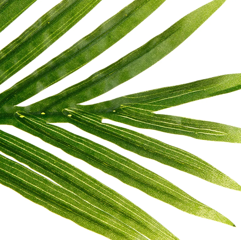 Изкуствено растение atmosphera Palm, 170 cm