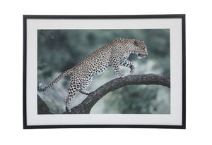 Картина atmosphera Juni, 50x70 cm