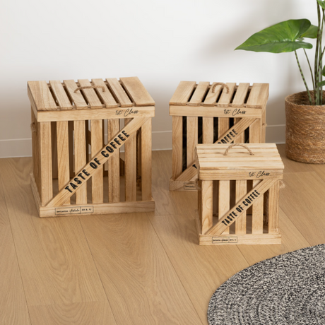 Сет кутии за съхранение atmosphera Denys, 3бр, Пауловния