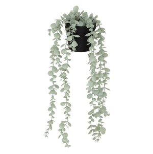 Atmosferă de plantă artificială Eucalipt Merly, 51 cm, diverse specii