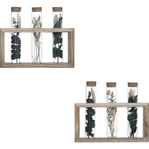 Декоративни цветя atmosphera House, 17 cm