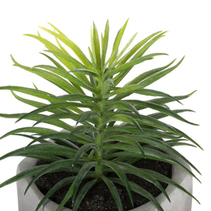 Изкуствено растение atmosphera Succulent, 14 cm, Различни видове