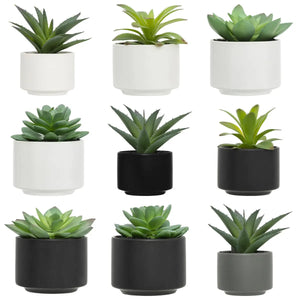 Изкуствено растение atmosphera Succulent, 13 cm, Различни видове