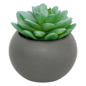 Изкуствено растение atmosphera Succulent, 13 cm, Различни видове