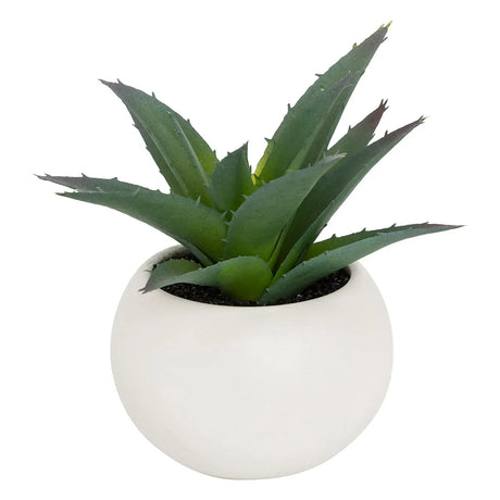Изкуствено растение atmosphera Succulent, 13 cm, Различни видове