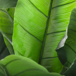 Изкуствено растение atmosphera Banana Tree, 170 cm