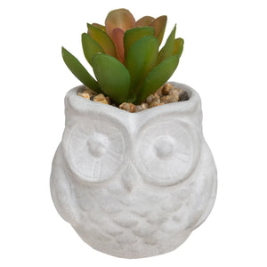 Изкуствено растение atmosphera Succulent, 8 cm, Различни видове