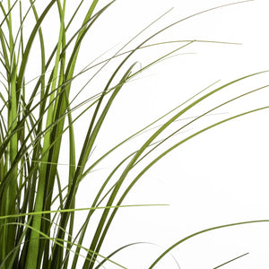 Изкуствено растение atmosphera Grasses, 58 cm