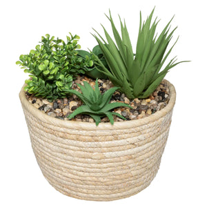 Изкуствено растение atmosphera Hacienda, 19 cm