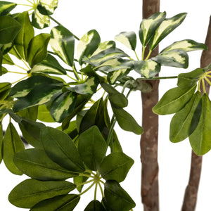 Изкуствено растение atmosphera Schefflera, 130 см