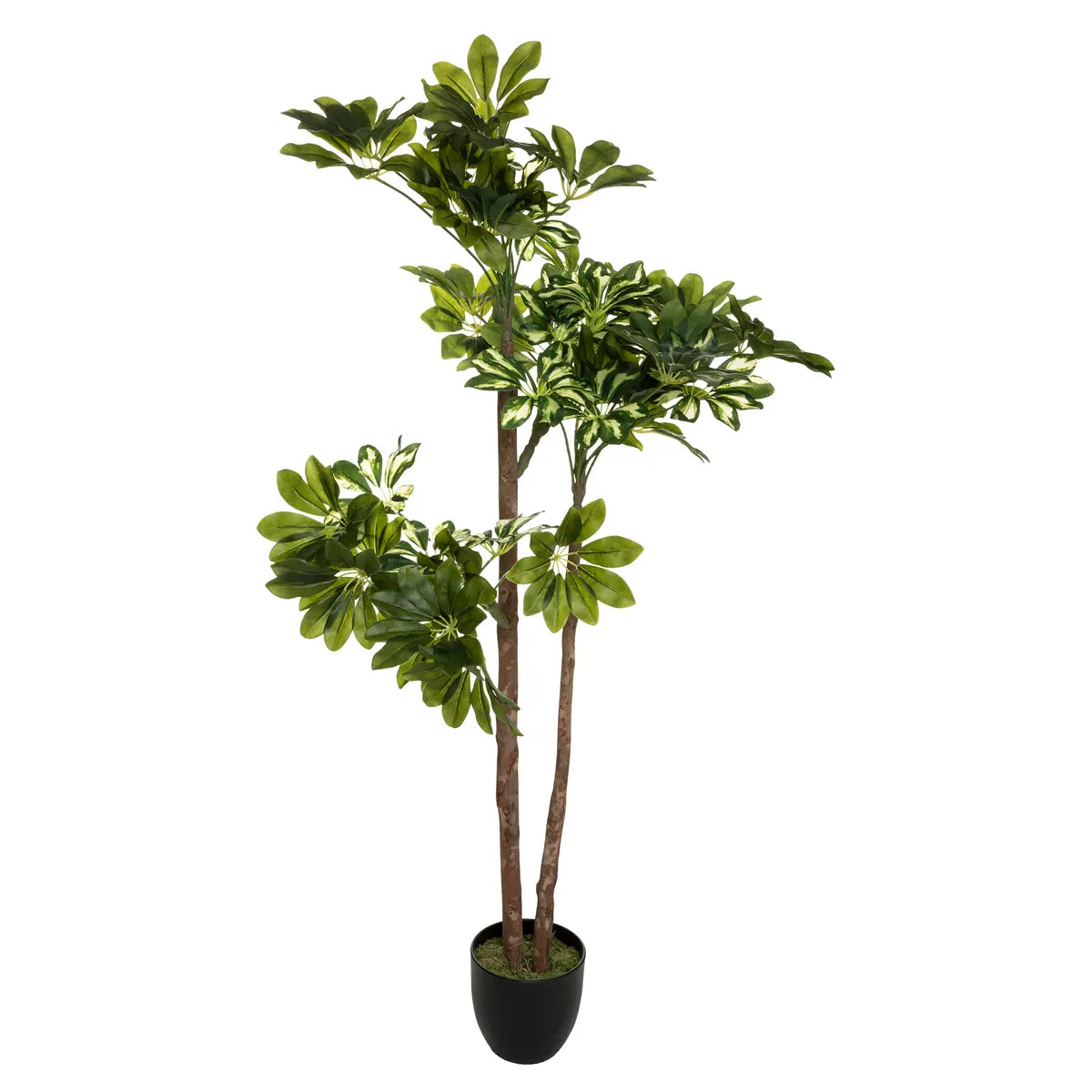 Изкуствено растение atmosphera Schefflera, 130 см