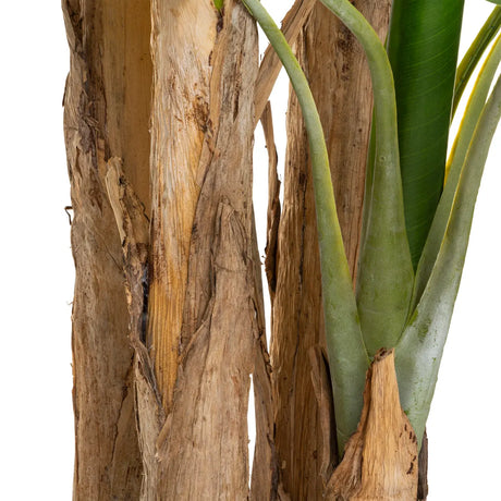 Изкуствено растение atmosphera Banana Tree, 285 cm