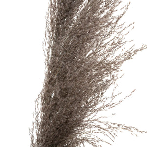 Изкуствено растение atmosphera Natural Pampa, 110см, 3бр, Кафяв