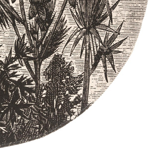 Килим atmosphera Printed, 90 cm, Памук, Разлини разцветки